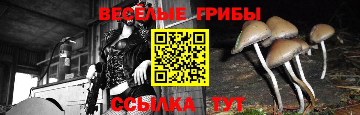 Псилоцибиновые грибы Psilocybine cubensis  Вход с VPN  Псилоцибиновые грибы MAGIC MUSHROOMS  Петропавловск-Камчатский 
